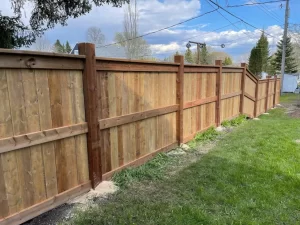 Newly installed wooden garden fence
